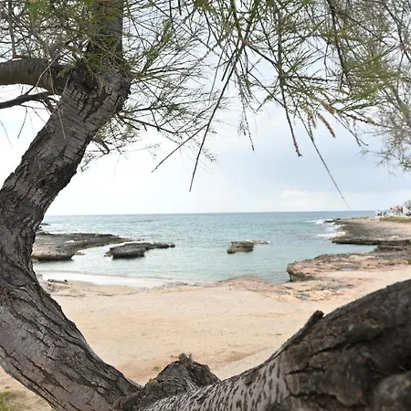Villa Adua